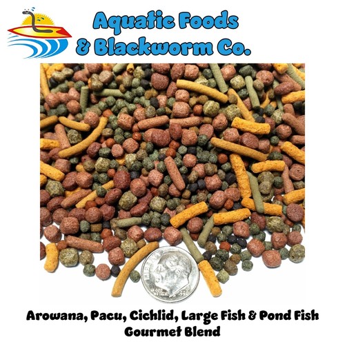 Arowana pacu cichlid large - arowana,,