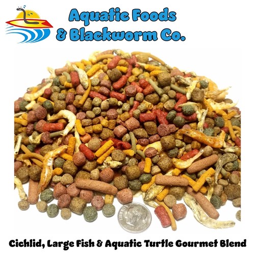 Large cichlid aquatic - large,